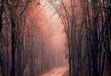 雷火电竞-当德甲霸主遇上紫金王朝：曼城“登顶湖人”背后的体育资本迷局