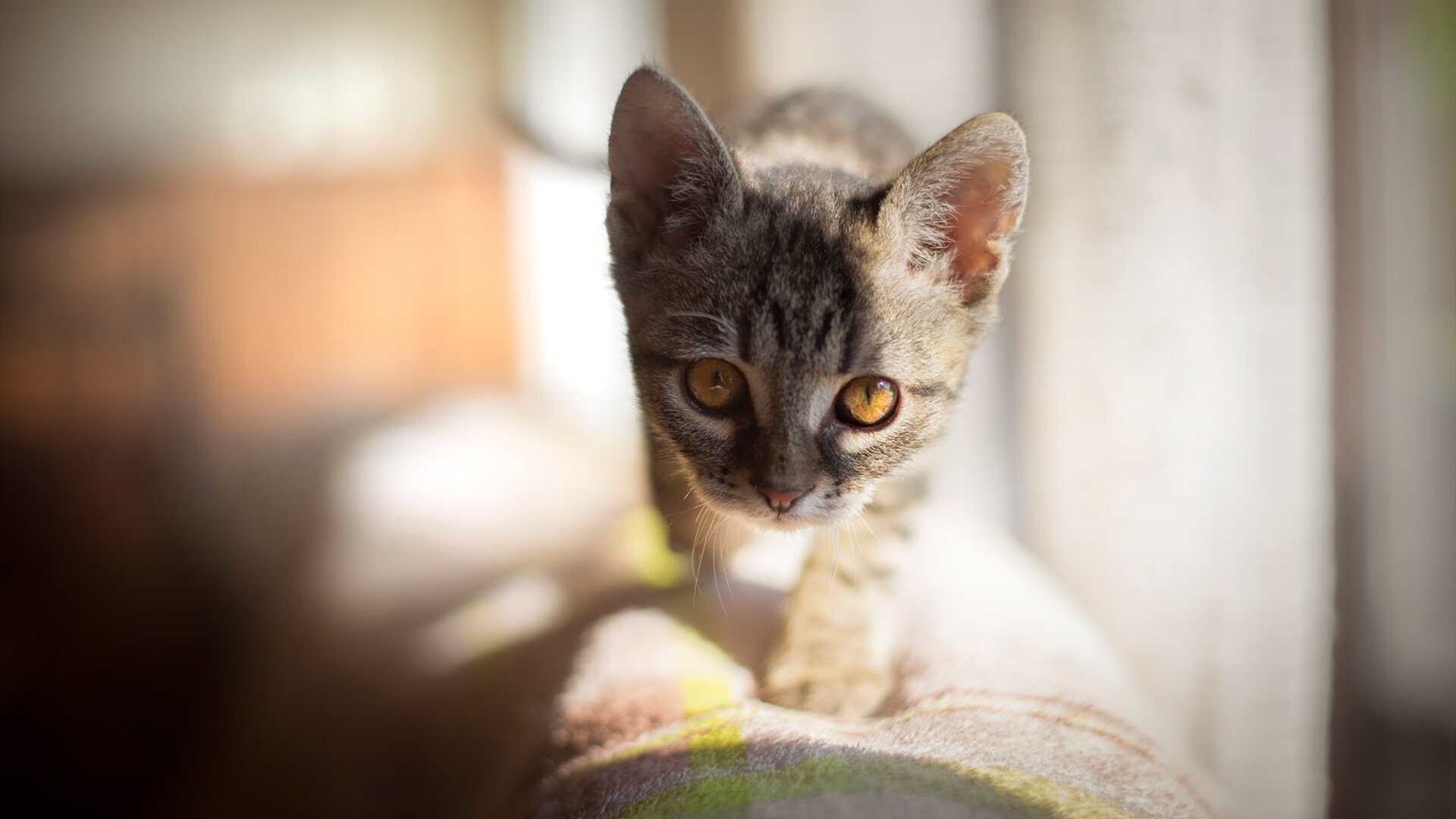 雷火电竞充值-黑色闪电，当德罗赞的沉默长矛刺穿总决赛之夜