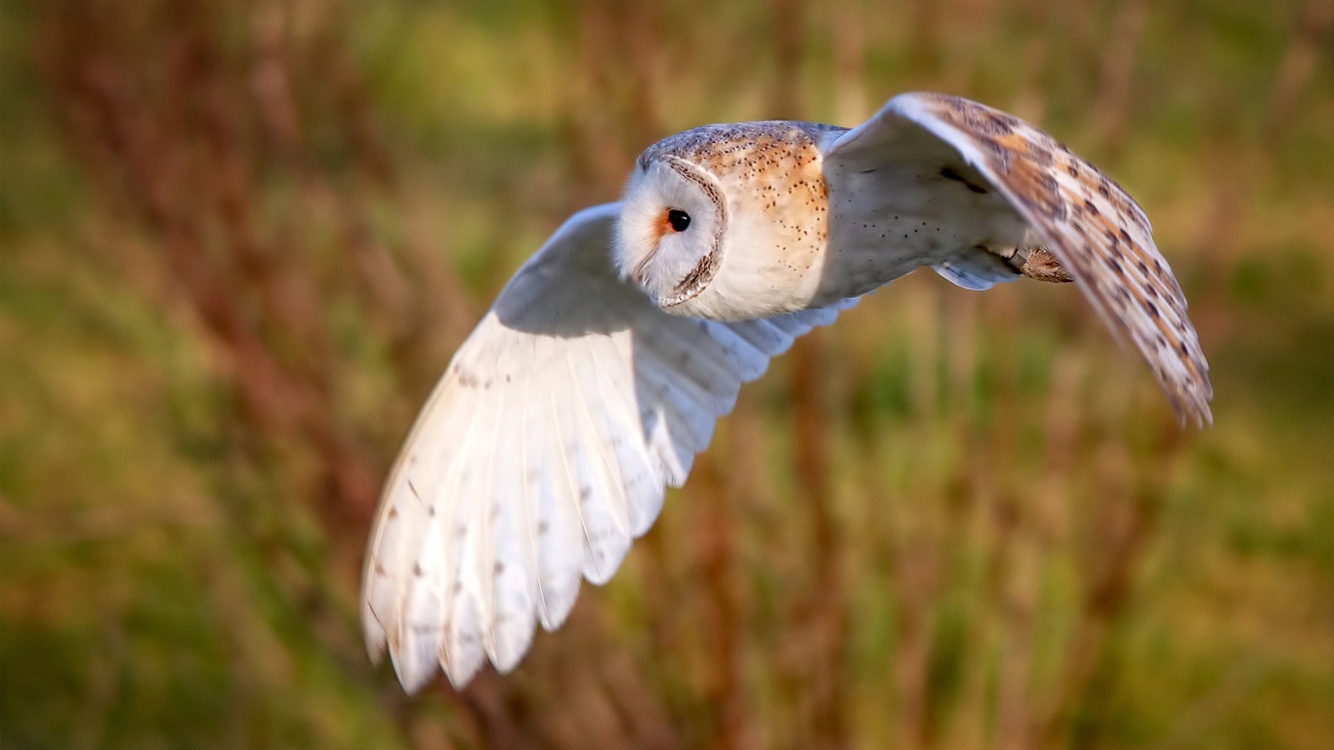 无声战场，当步行者遇见马刺，保罗如何定义大场面先生