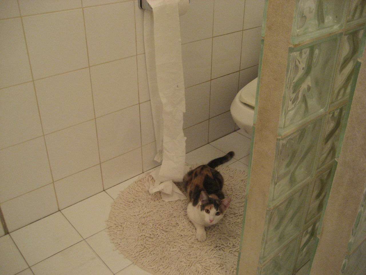 血脉里的超车基因,当喀麦隆人同时制霸伯纳乌和F1街道