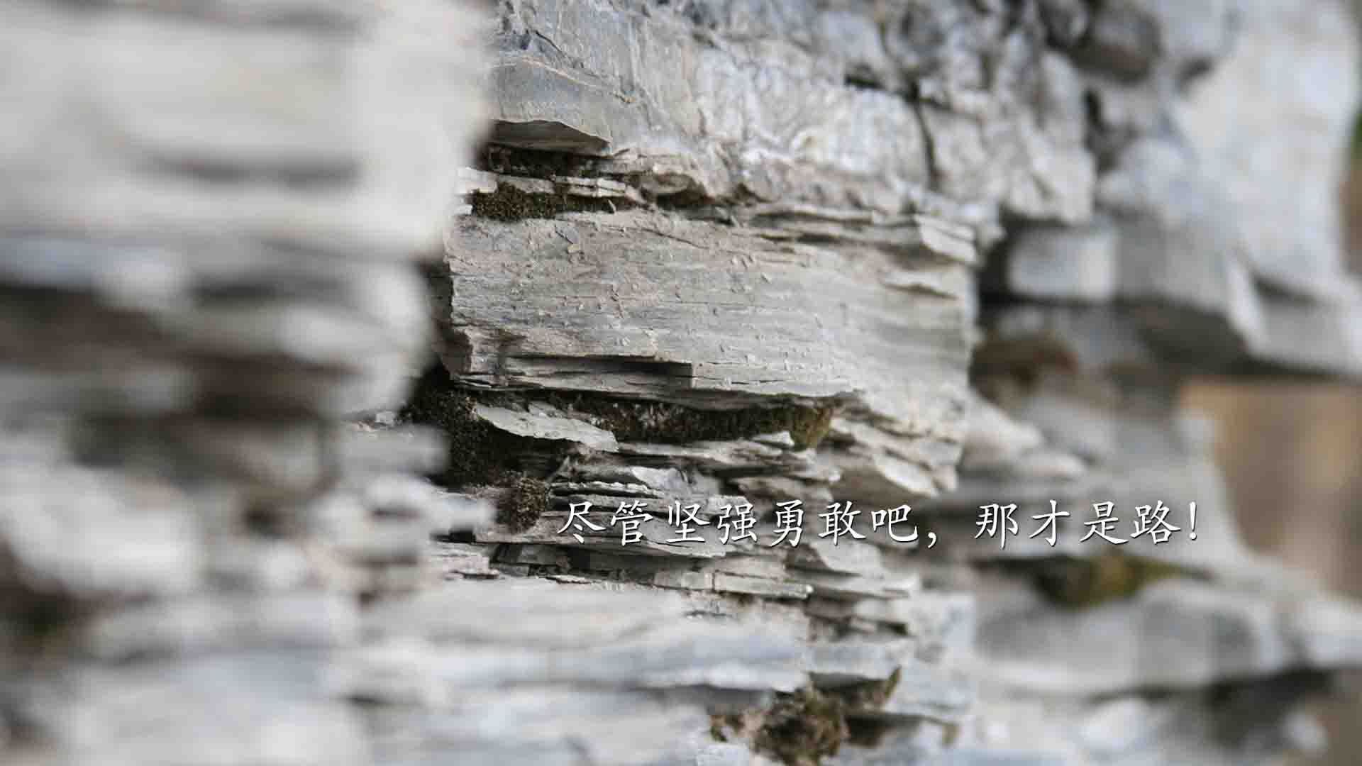 雷火电竞主播-双面孤本，利物浦的铁血基因与加维的丝绸革命—当唯一性成为足球世界的两种解法