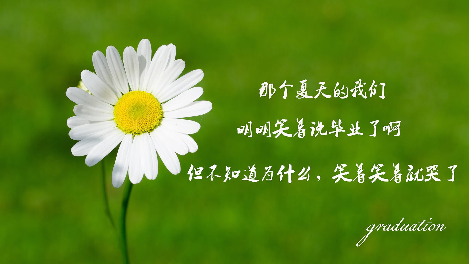 雷火电竞网站-绝唱与新生，2026世界杯G组关键战，波兰横扫西班牙，吉鲁带队书写绿茵史诗