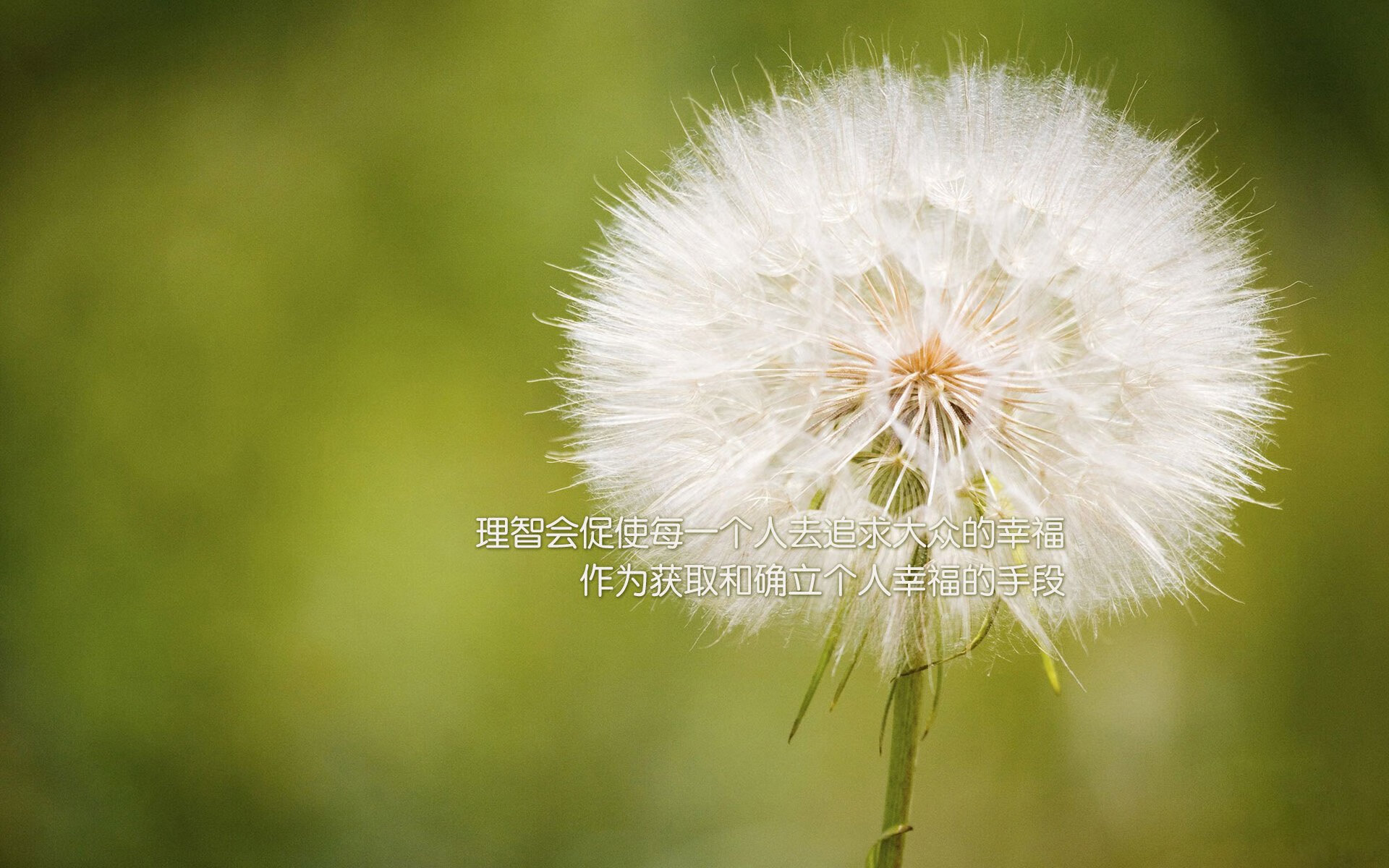 逆转之王,德布劳内致命一击,塞尔维亚完胜荷兰书写2026世界杯唯一传奇